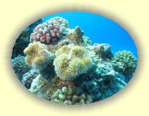 IMG_2007_05_27 18_32_55 * 2258 x 1678 * (683KB)
